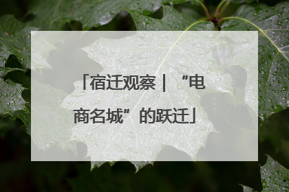 宿迁观察｜“电商名城”的跃迁