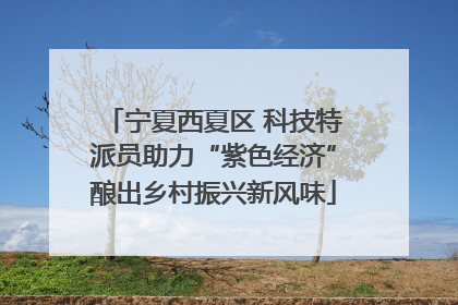 宁夏西夏区 科技特派员助力“紫色经济”酿出乡村振兴新风味