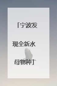 宁波发现全新水母物种