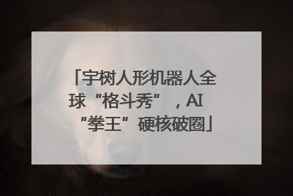 宇树人形机器人全球“格斗秀”，AI“拳王”硬核破圈