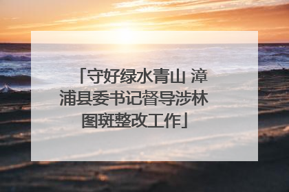 守好绿水青山 漳浦县委书记督导涉林图斑整改工作