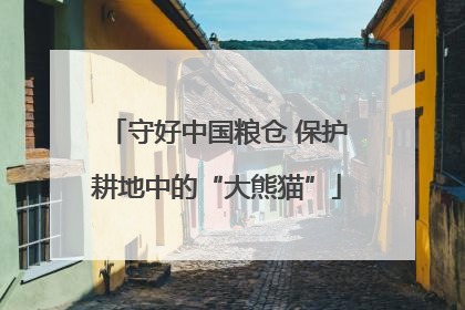 守好中国粮仓 保护耕地中的“大熊猫”