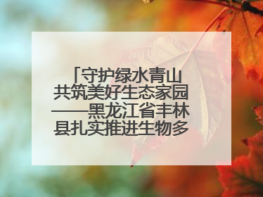 守护绿水青山 共筑美好生态家园——黑龙江省丰林县扎实推进生物多样性保护工作