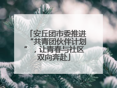 安丘团市委推进“共青团伙伴计划”，让青春与社区双向奔赴