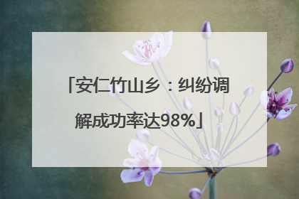 安仁竹山乡：纠纷调解成功率达98%