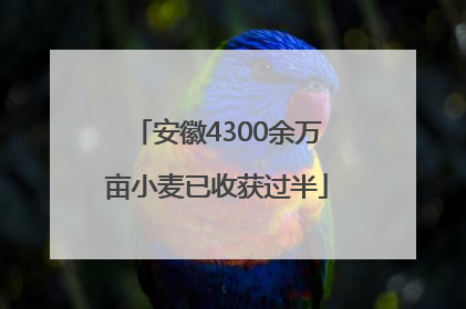 安徽4300余万亩小麦已收获过半