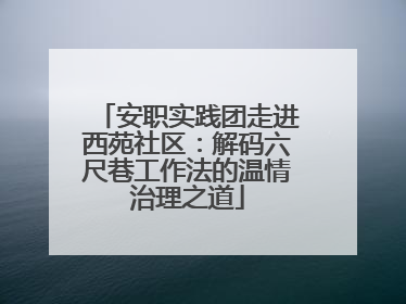安职实践团走进西苑社区：解码六尺巷工作法的温情治理之道