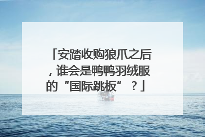 安踏收购狼爪之后，谁会是鸭鸭羽绒服的“国际跳板”？
