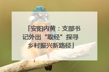 安阳内黄：支部书记外出“取经”探寻乡村振兴新路径
