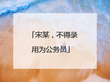 宋某，不得录用为公务员