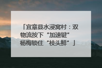 宜章县水浸窝村：双物流按下“加速键” 杨梅锁住“枝头鲜”