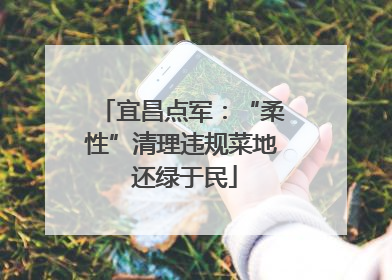 宜昌点军：“柔性”清理违规菜地 还绿于民