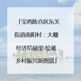 宝鸡陈仓区东关街道南阳村：大棚经济结硕果 绘就乡村振兴新图景