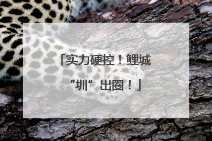 实力硬控！鲤城“圳”出圈！