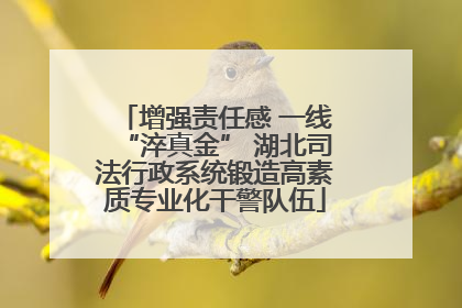增强责任感 一线“淬真金” 湖北司法行政系统锻造高素质专业化干警队伍