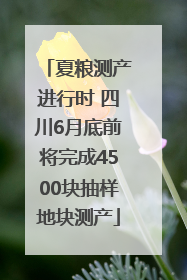 夏粮测产进行时 四川6月底前将完成4500块抽样地块测产