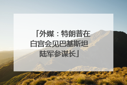 外媒：特朗普在白宫会见巴基斯坦陆军参谋长