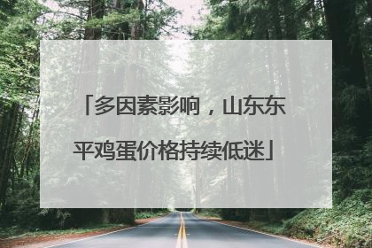 多因素影响，山东东平鸡蛋价格持续低迷