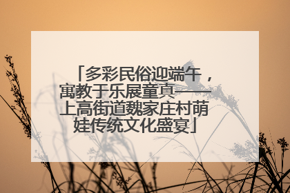 多彩民俗迎端午，寓教于乐展童真——上高街道魏家庄村萌娃传统文化盛宴