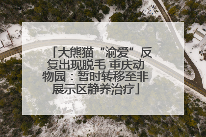 大熊猫“渝爱”反复出现脱毛 重庆动物园：暂时转移至非展示区静养治疗