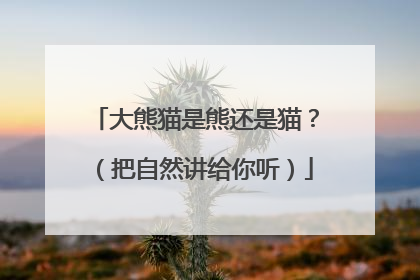 大熊猫是熊还是猫？（把自然讲给你听）