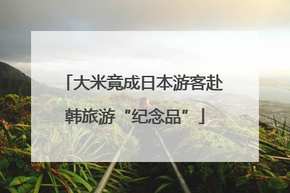 大米竟成日本游客赴韩旅游“纪念品”
