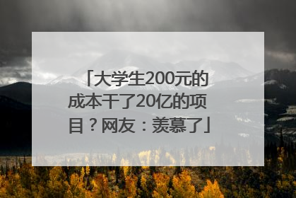 大学生200元的成本干了20亿的项目？网友：羡慕了