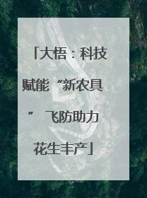 大悟：科技赋能“新农具” 飞防助力花生丰产