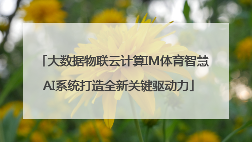 大数据物联云计算IM体育智慧AI系统打造全新关键驱动力