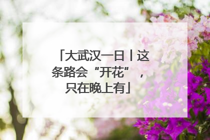 大武汉一日丨这条路会“开花”，只在晚上有