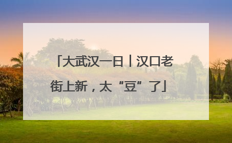 大武汉一日︱汉口老街上新，太“豆”了