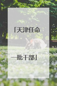 天津任命一批干部