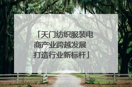 天门纺织服装电商产业跨越发展 打造行业新标杆