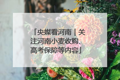 央媒看河南｜关注河南小麦收购、高考保障等内容