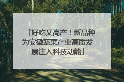 好吃又高产！新品种为安徽蔬菜产业高质发展注入科技动能