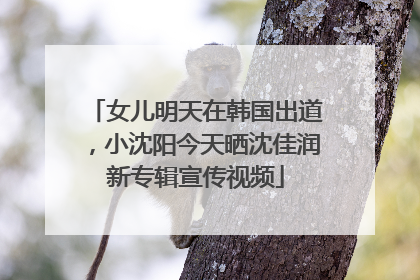 女儿明天在韩国出道，小沈阳今天晒沈佳润新专辑宣传视频
