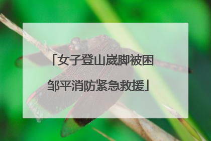 女子登山崴脚被困 邹平消防紧急救援