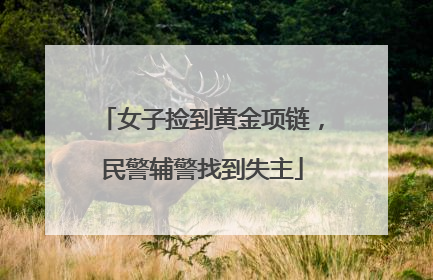 女子捡到黄金项链，民警辅警找到失主