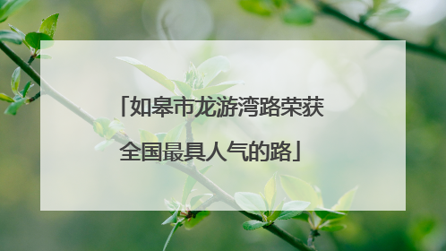 如皋市龙游湾路荣获全国最具人气的路