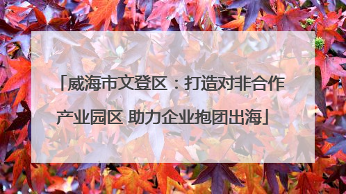 威海市文登区：打造对非合作产业园区 助力企业抱团出海