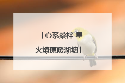心系桑梓 星火燎原暖湖塘