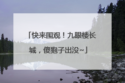 快来围观！九眼楼长城，傻狍子出没~