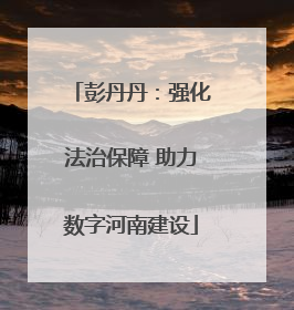彭丹丹：强化法治保障 助力数字河南建设
