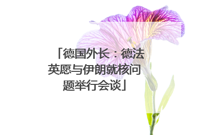 德国外长：德法英愿与伊朗就核问题举行会谈