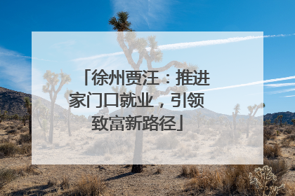 徐州贾汪：推进家门口就业，引领致富新路径