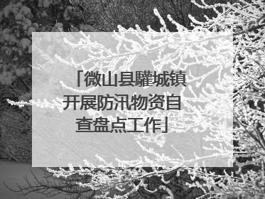 微山县驩城镇开展防汛物资自查盘点工作
