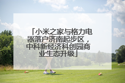 小米之家与格力电器落户济南起步区，中科新经济科创园商业生态升级