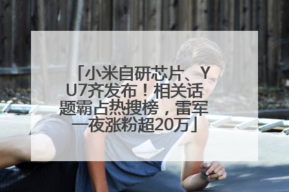 小米自研芯片、YU7齐发布！相关话题霸占热搜榜，雷军一夜涨粉超20万