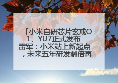 小米自研芯片玄戒O1、YU7正式发布 雷军：小米站上新起点，未来五年研发翻倍再投2000亿元