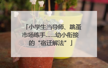 小学生当导师、跳蚤市场练手……幼小衔接的“宿迁解法”
